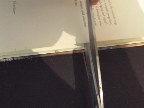 Step 7