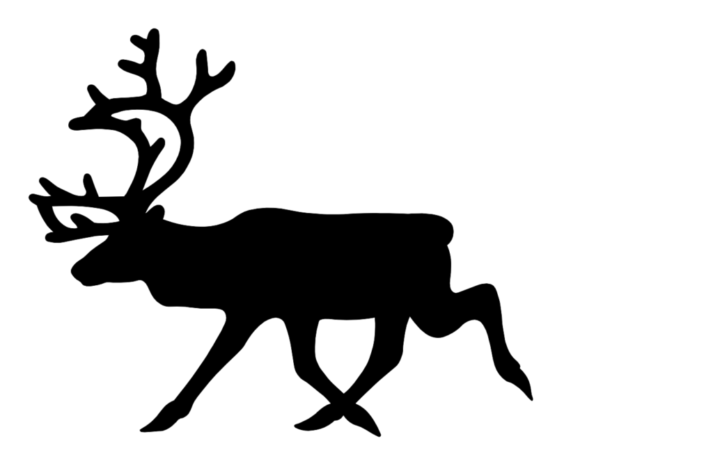 Deer 3