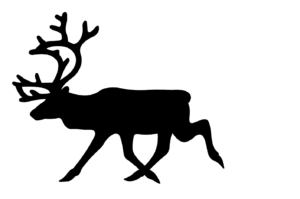 Deer 3