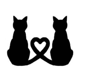 Love Cat