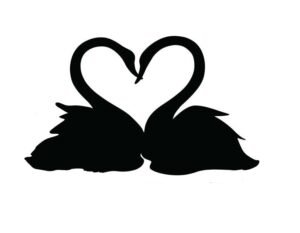 Swan Love