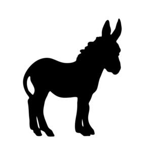 World Donkey Day