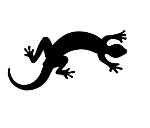 GEKO MMF