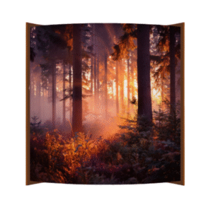 Forest Calm